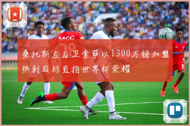 桑托斯左后卫索萨以1300万镑加盟热刺目标直指世界杯荣耀